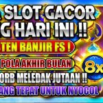 Rahasia Maxwin Olympus